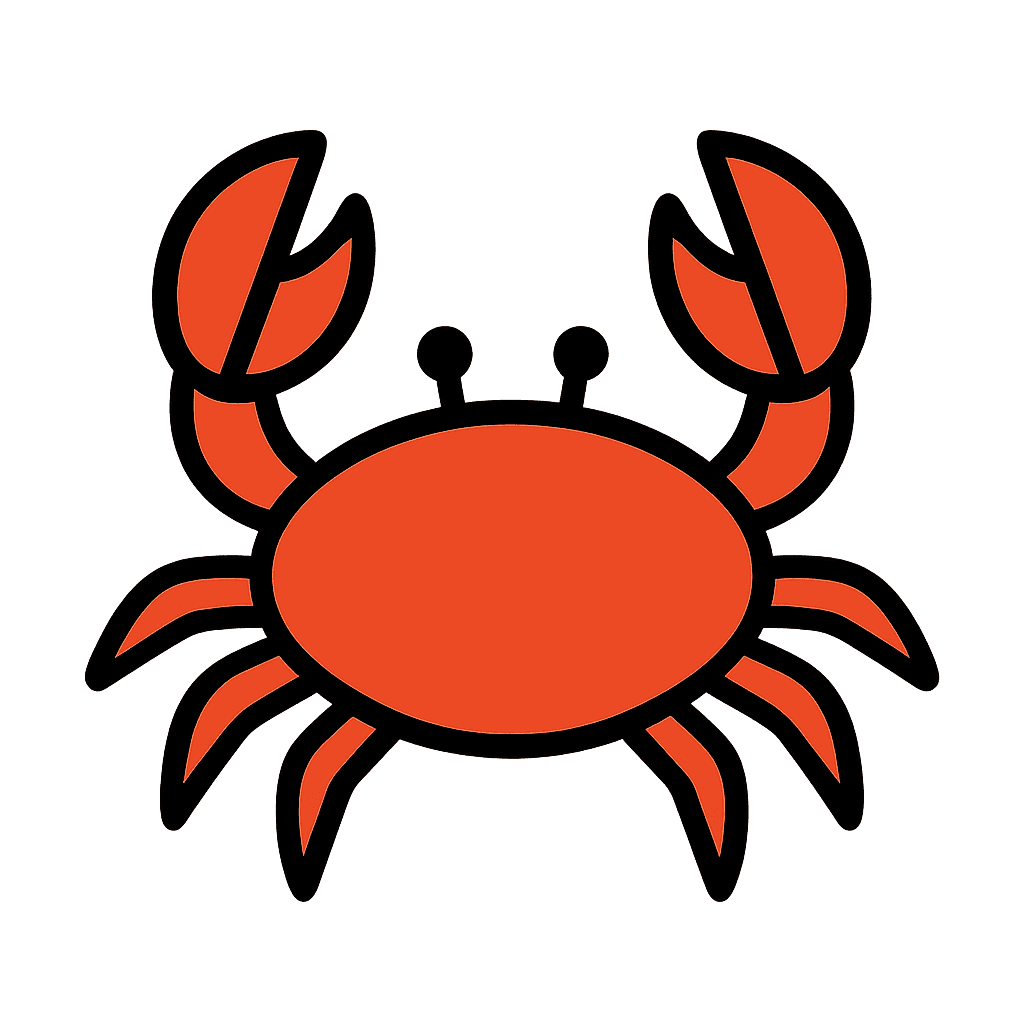 a crab from the rockpool