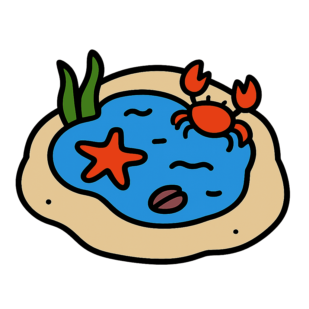 the rockpool itself