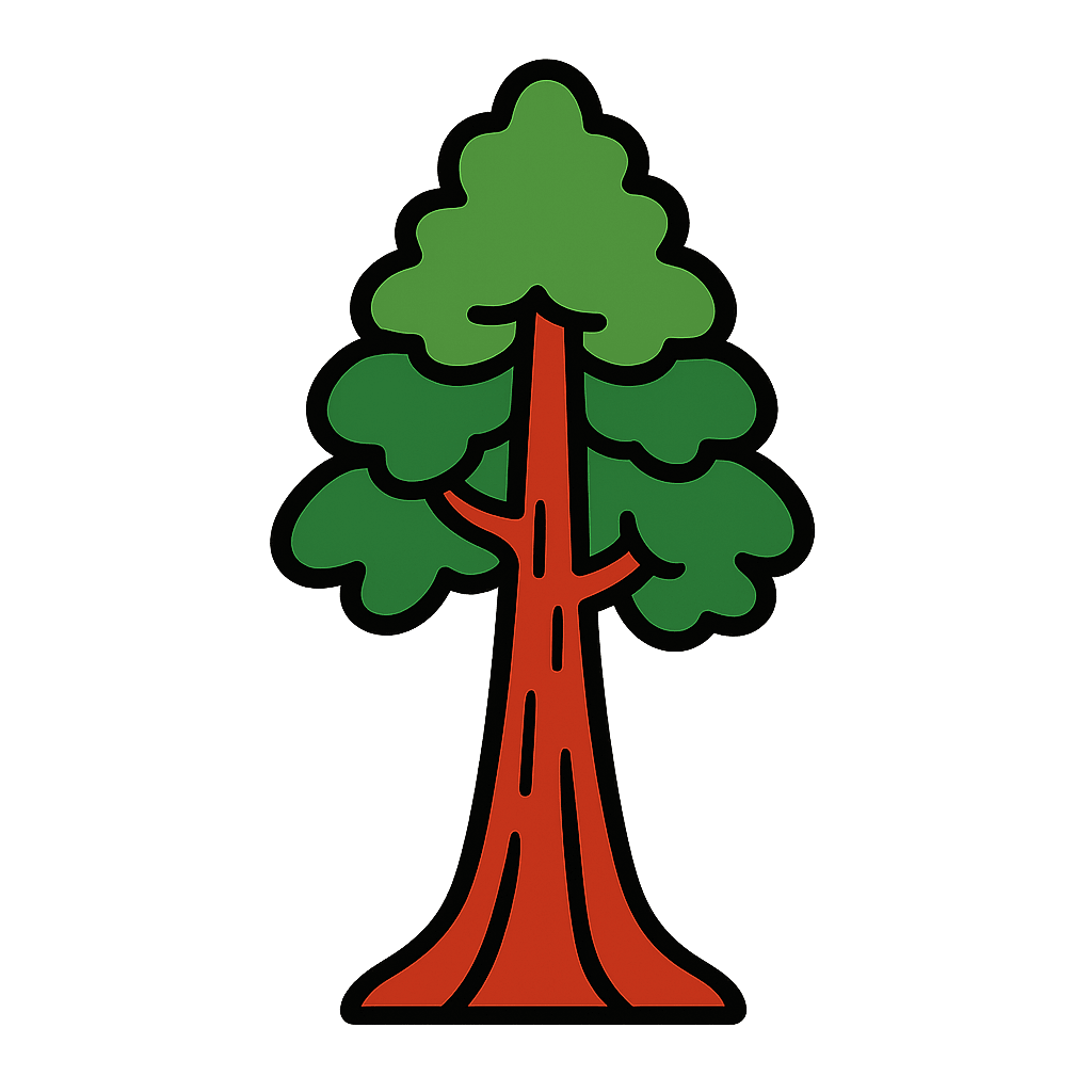 redwood