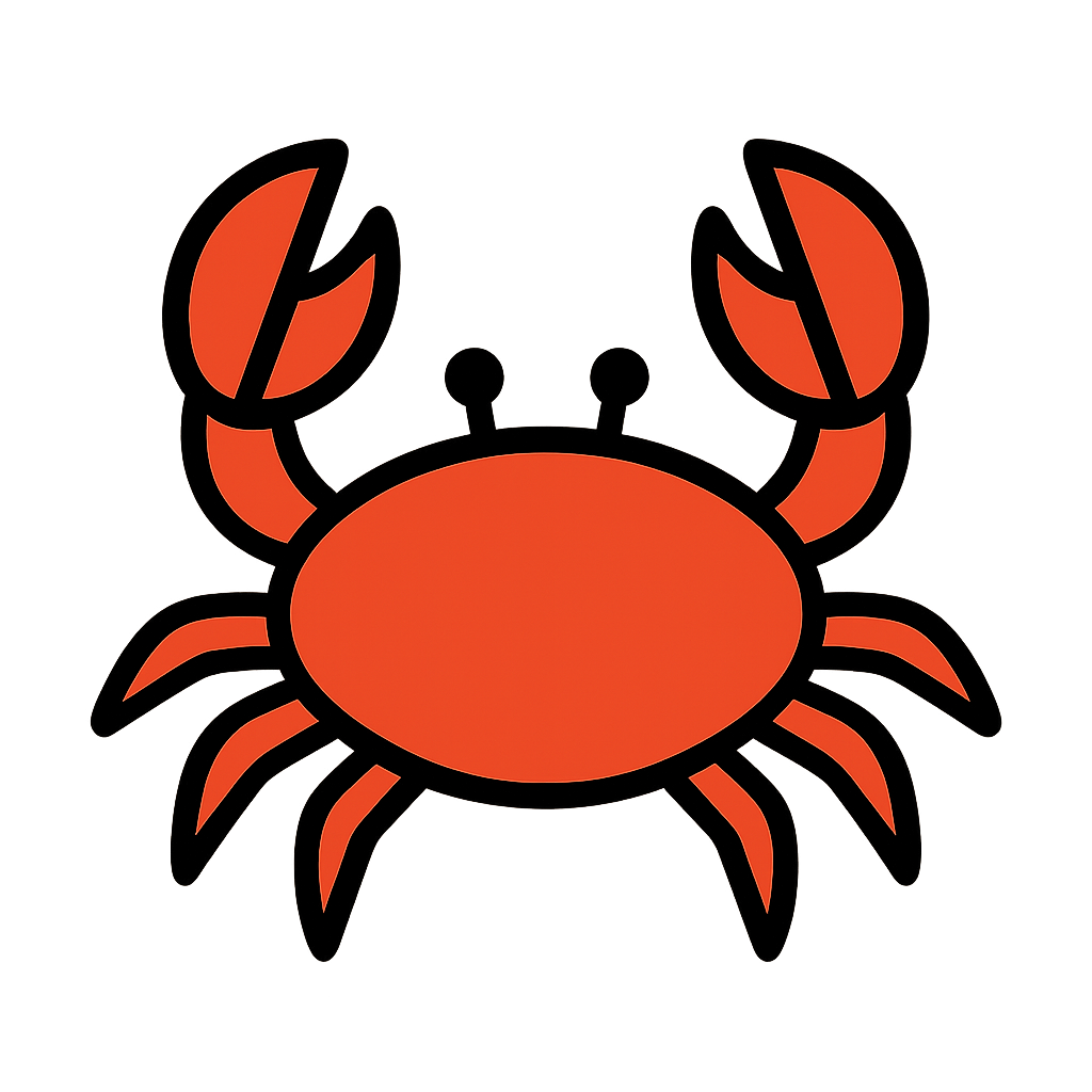 a crab from the rockpool
