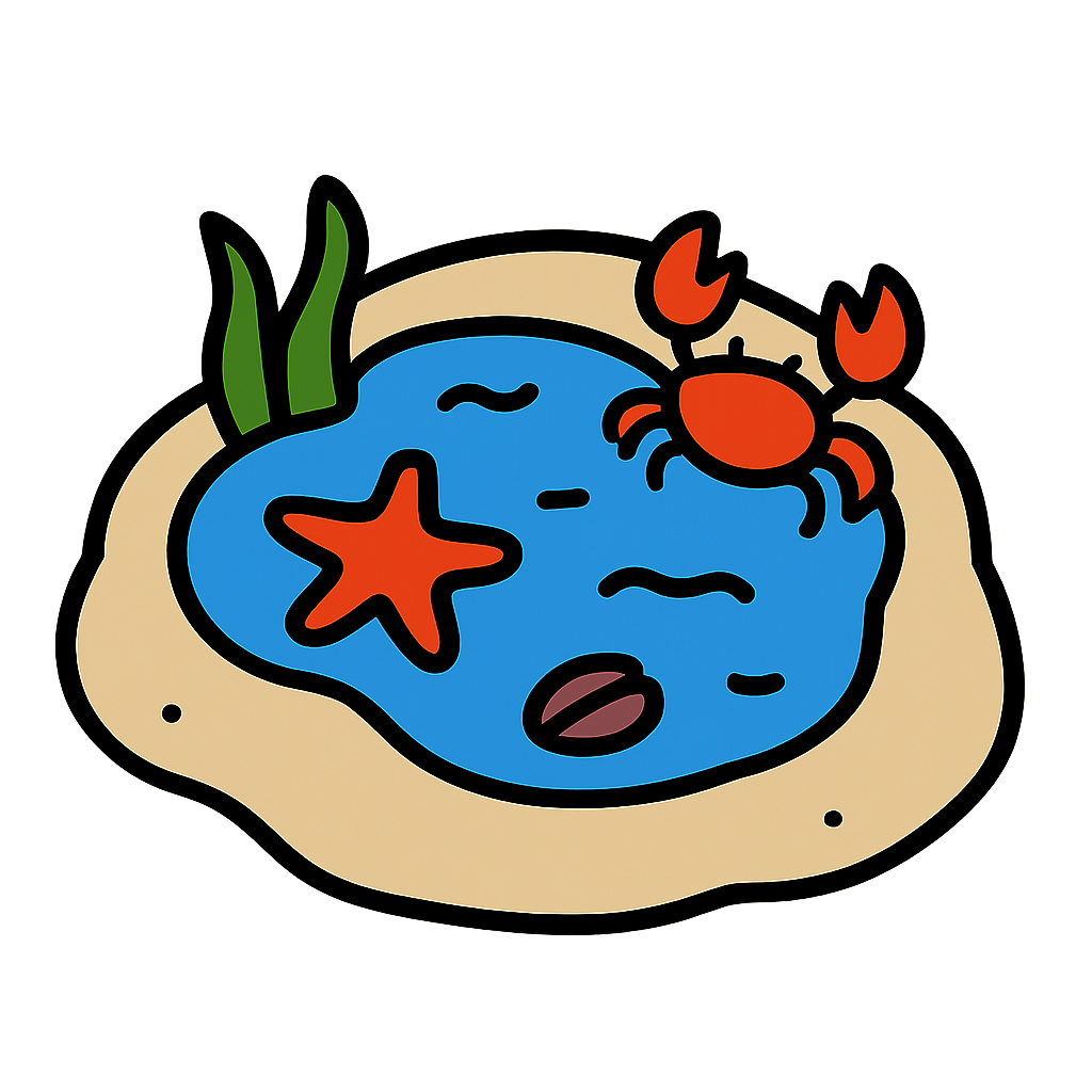 the rockpool itself