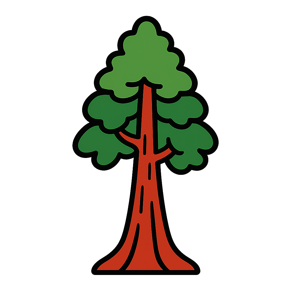 redwood